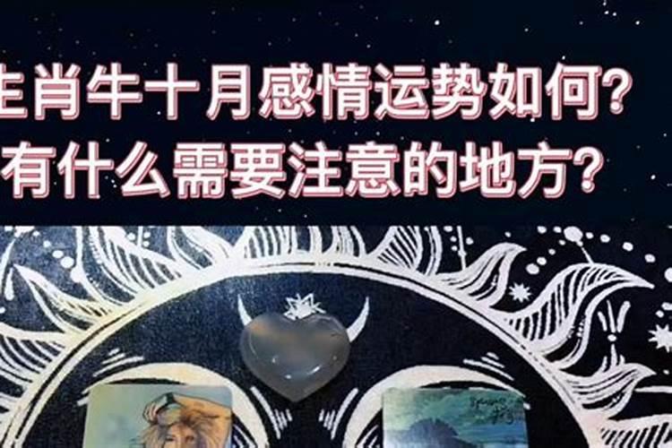 属牛八月出生的女人是什么命 不同出生月份属牛人的运势
