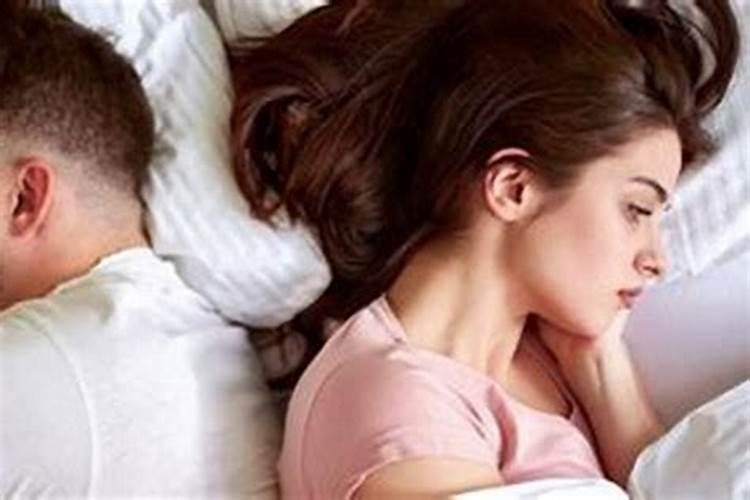 属狗一生命运如何82属狗人的灾难年龄