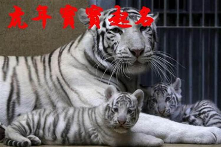 2025姓王的取名 王姓有涵养的名字参考
