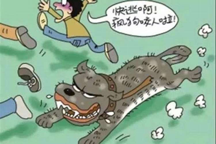 梦见被黑猫扑咬的预兆