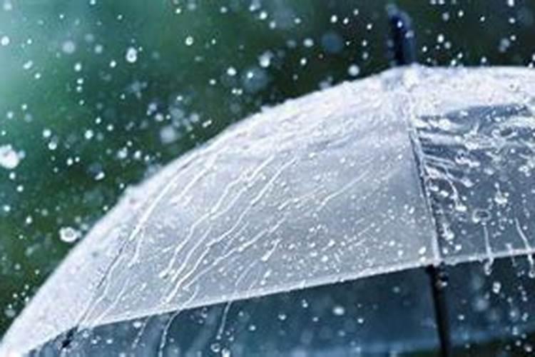 梦见回家路上下雨