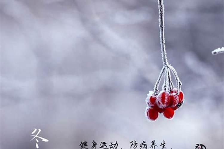 冬至一阳来复后,是什么意思？