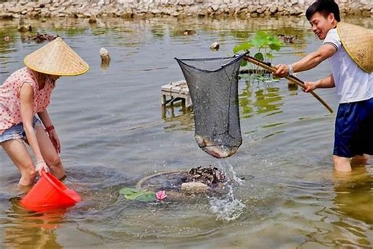 梦见抓鱼并吃了是什么意思