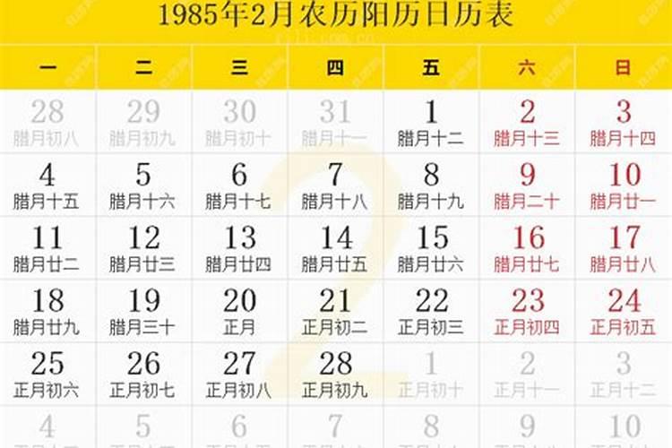 农历1985年10月30出生,前程如何
