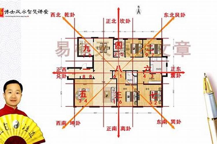 住宅中朱雀和玄武哪个重要,风水布局以什么为最佳