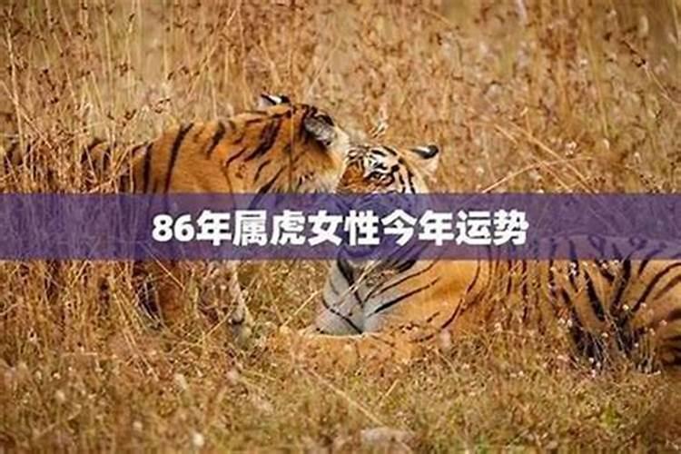 属虎女蕞怕出生几月