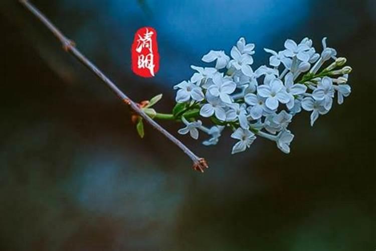梦见女朋友死了我很伤心的预兆