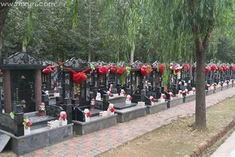 梦见墓地和棺材是什么意思 梦见墓地和棺材是什么意思呀