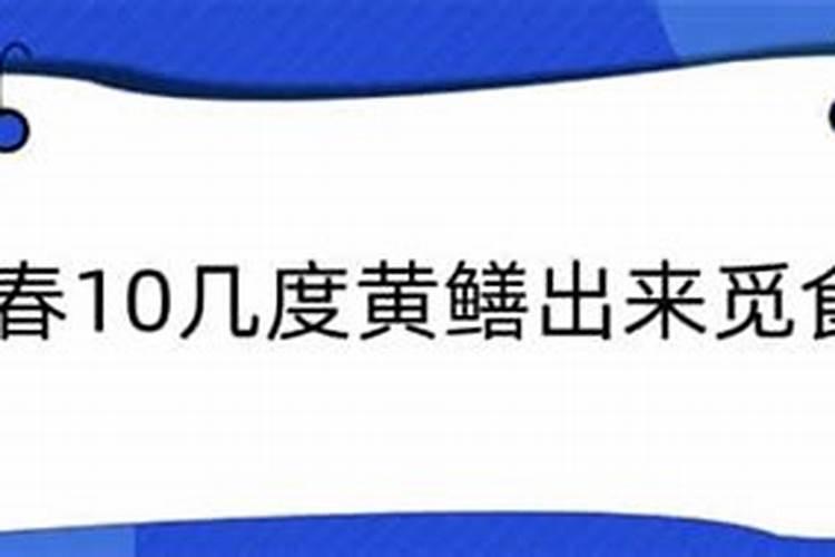 请教风水鱼的问题 我的店铺是坐东朝西开门,想养风水鱼,请问大师,鱼缸...
