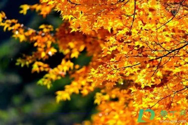 一年当中最冷的三个月份 一年中哪几个月最冷