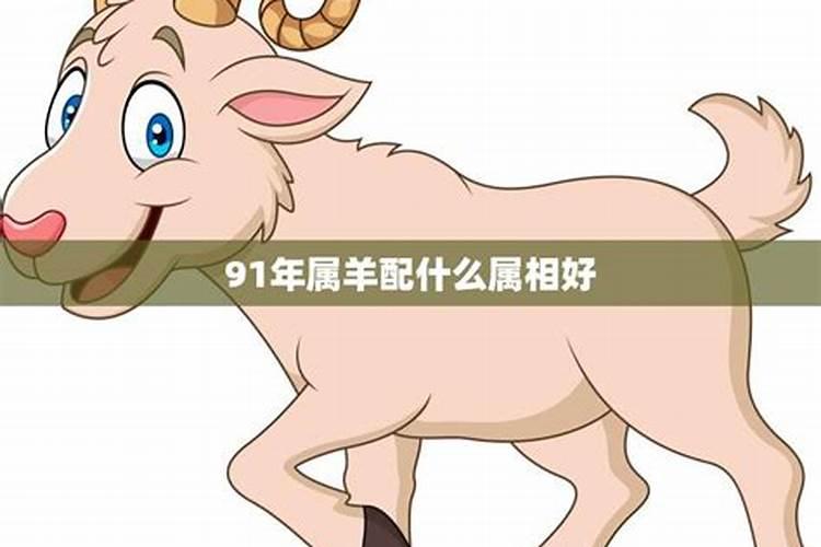 1991年属羊的女人最佳婚配是什么