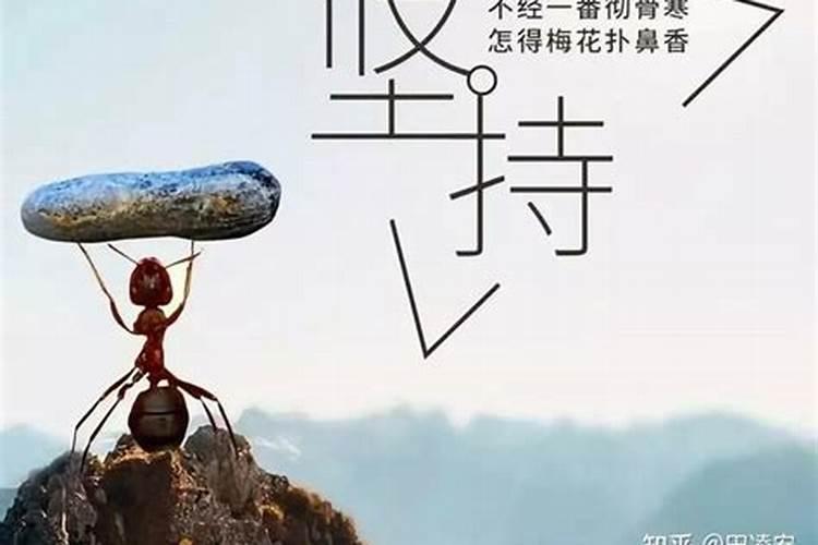 运气来了,不是每个人都能抓得住