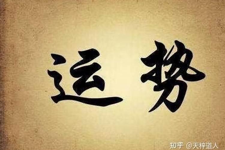 梦见我看见鱼在水中游的预兆