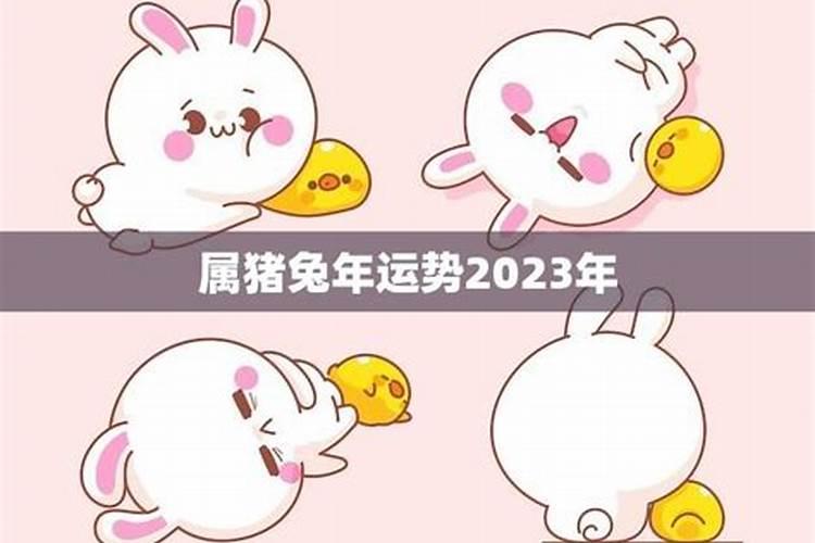 87年2024年属兔女人的全年运势如何？