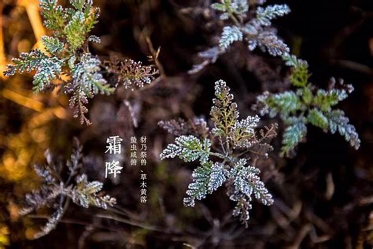 霜降和冬至的光照差几层楼