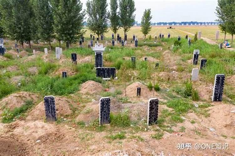 ...结果到了一片坟地,还有水流交叉,像是集体荒坟,什么意思
