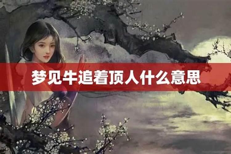 梦见开车被牛顶的预兆