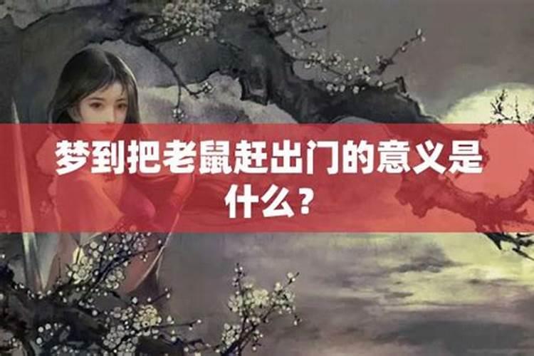 梦见家里有老鼠并赶走了的预兆