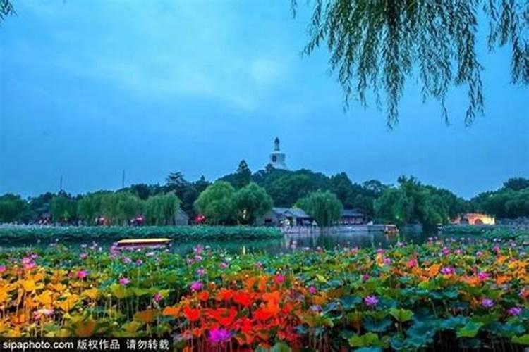 结婚前算出俩人的生辰八字不合,这婚还能结吗？