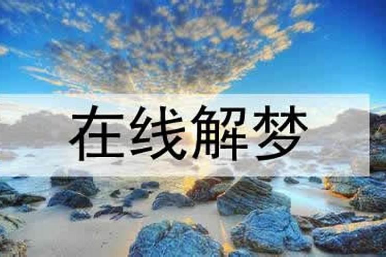 梦见黑鸟是什么征兆 梦见黑鸟是什么寓意