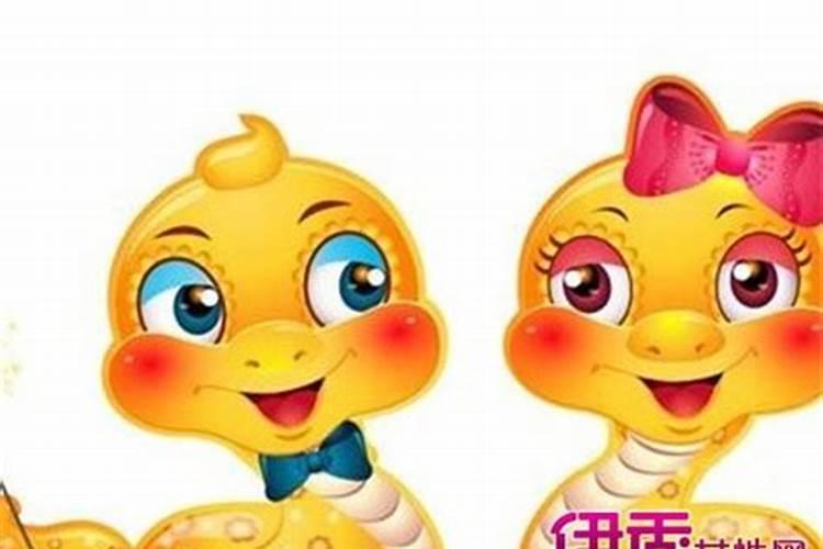 蛇年出生和鸡年出生的人八字合吗