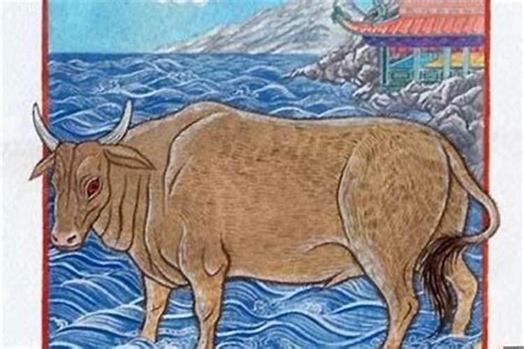 算算命 85年的命运如何(把所有积蓄都拿出来了)