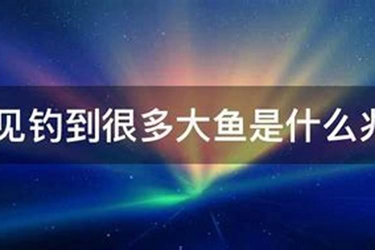 梦见好多红色鱼的预兆