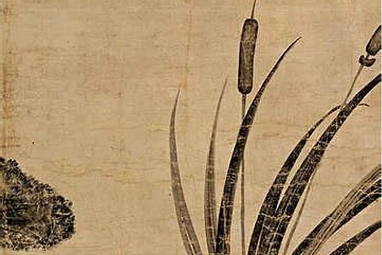 梦到蛇,有什么含义