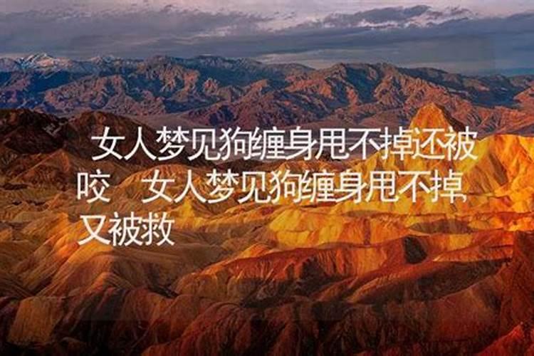 请问必中孙策是什么生肖