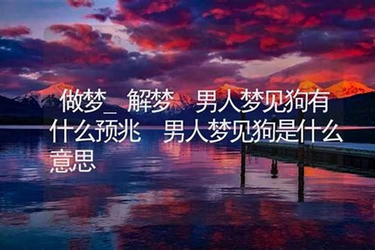 被人打很重的搞笑句子