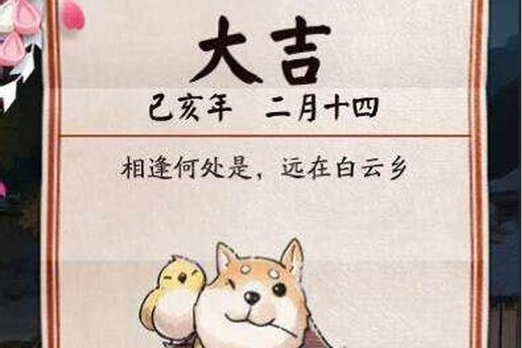 暖暖春日 现世妖约 《阴阳师》和风温泉物语集结