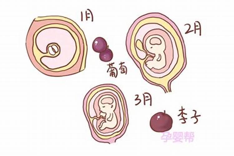 不要相信堕胎的报应是对的吗？