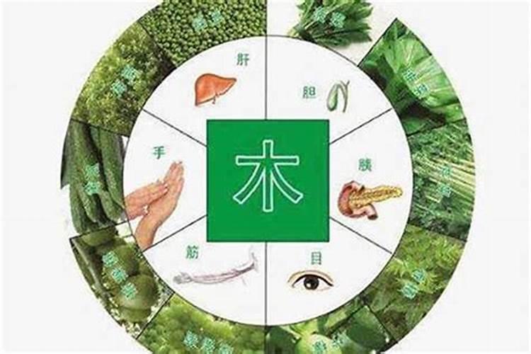 五行松柏木命的人缺什么