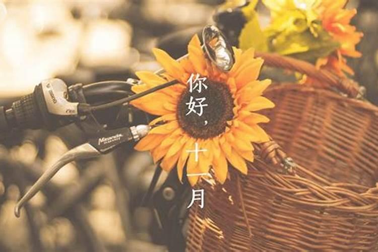 “取酒虾蟆陵下”的出处是哪里