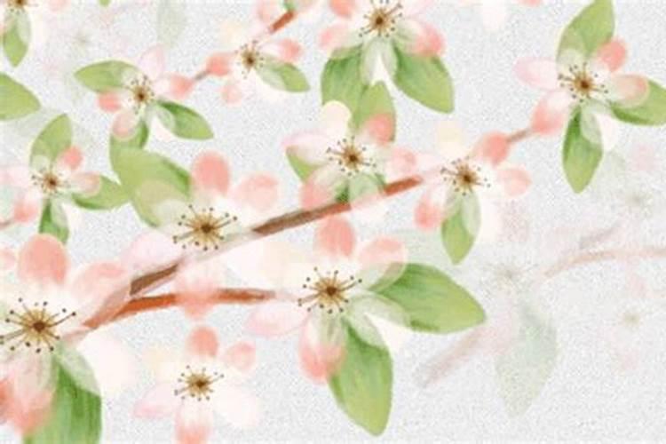 86年属虎人2024年运程及每月运势