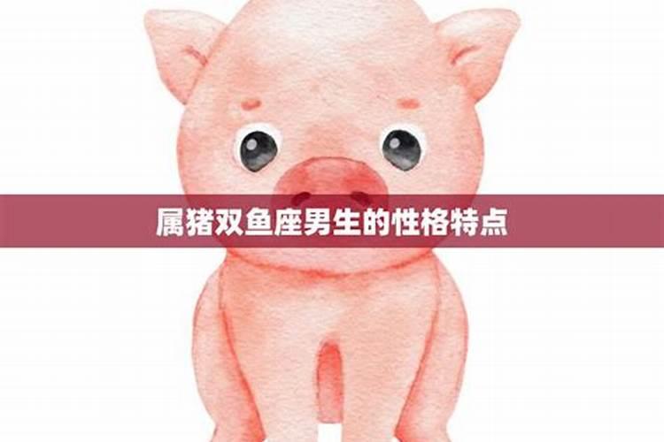 属猪双鱼座O型血的人性格有什么特征