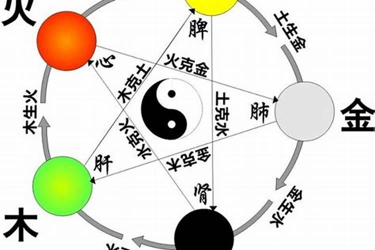梦见马蜂蛰人意为着什么兆头的预兆