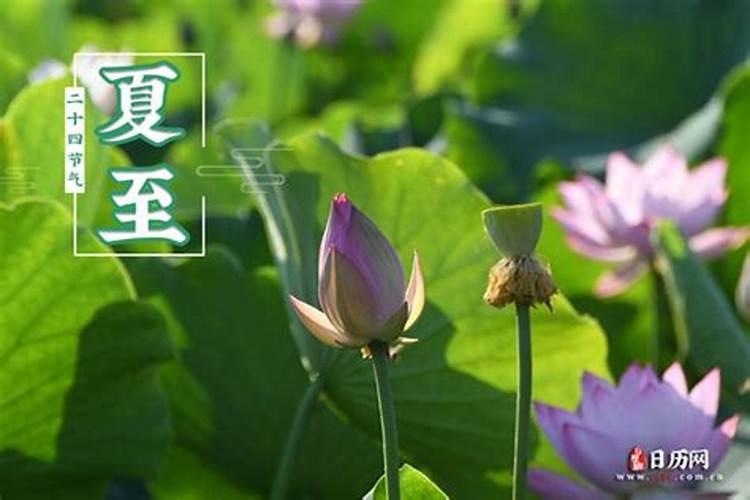 2024年夏至是白天最长的一天吗夏至后白天是长还是短