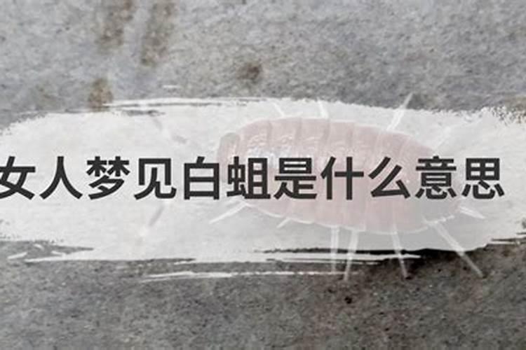 做梦梦到蛆是什么意思