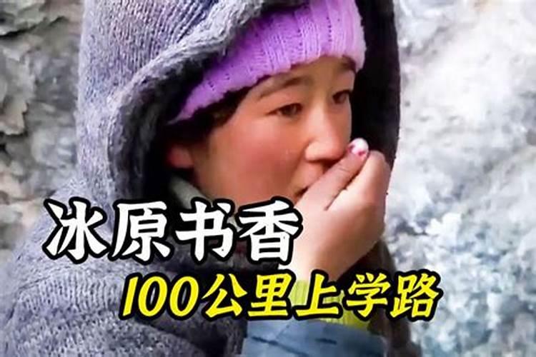己巳日柱人的命运解析