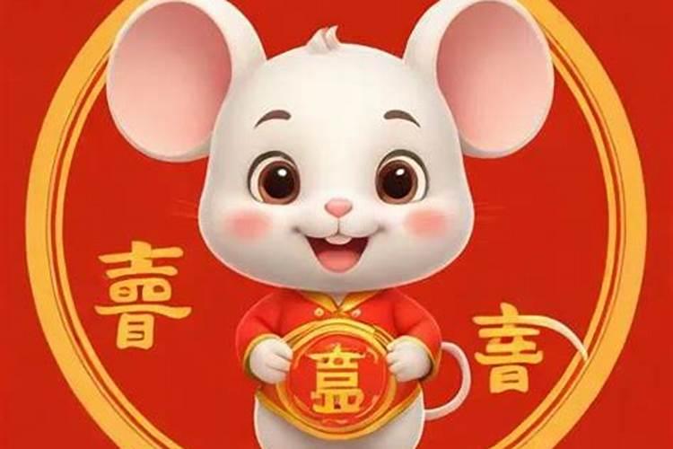2025年鼠人的全年运势如何