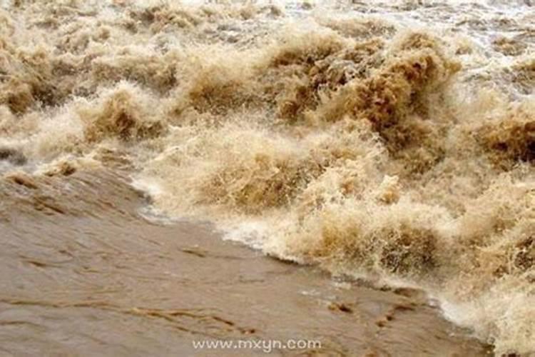 梦见长大洪水是什么兆头