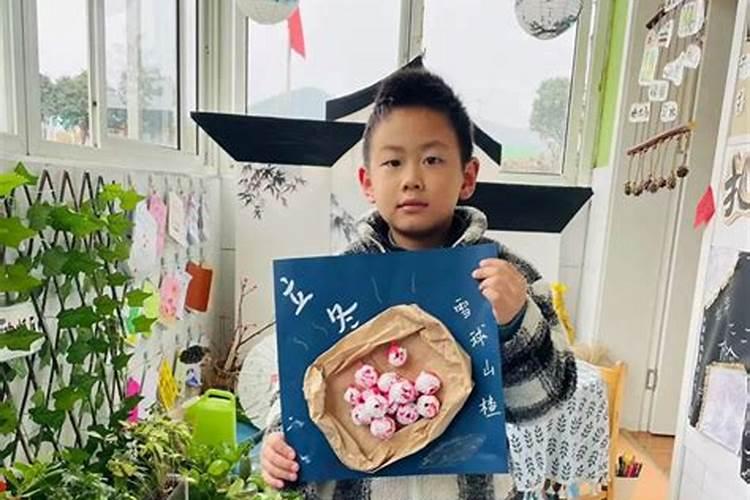 幼儿园立冬的教案
