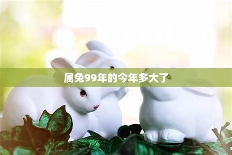 99年属兔女在2025年运势及婚姻