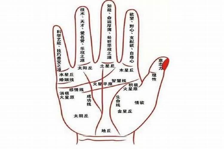 十个簸萁的女人好吗？脚上就一个斗,命运好不好呢