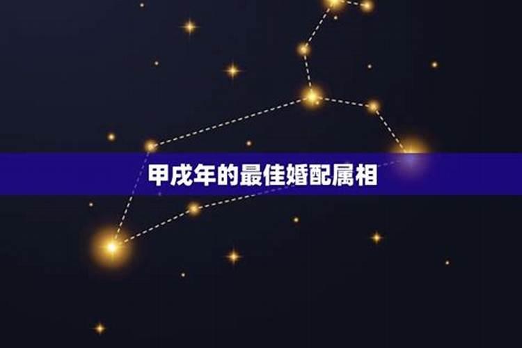 不同年份出生的属狗男女2024年运程