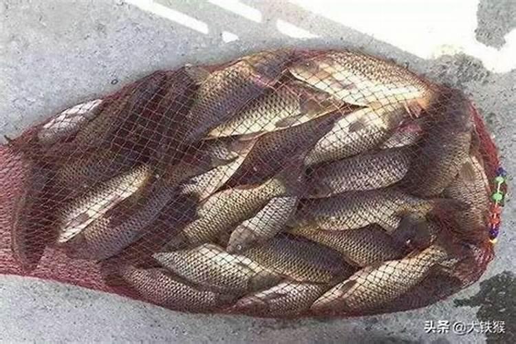 腊月二十三吃什么食物腊月二十三吃哪些食物好