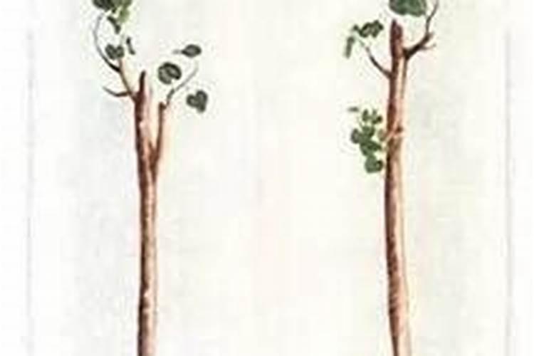 塔罗测未来另一半什么时候出现,测另一半什么时候遇见