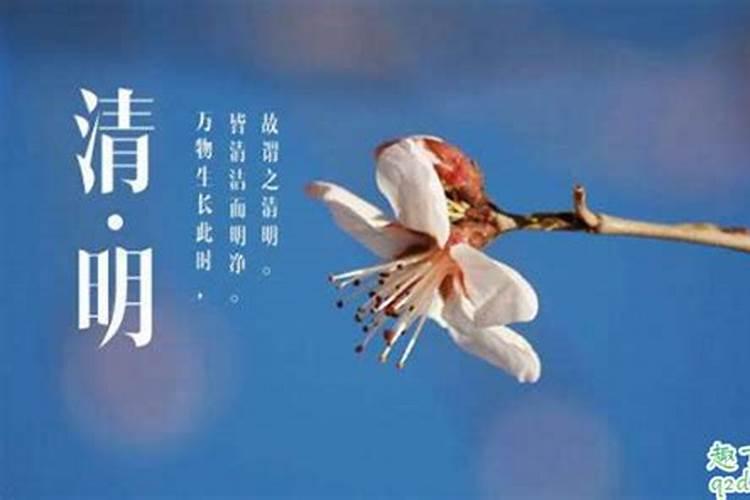 清明节当天不能上坟？上坟时间最佳是几点？