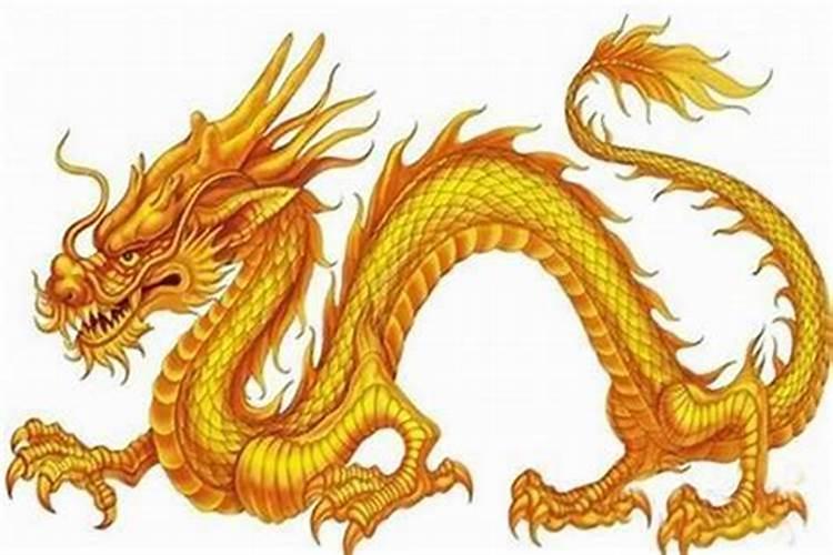 属龙人2024年1月财运好吗 催旺偏财运的方法